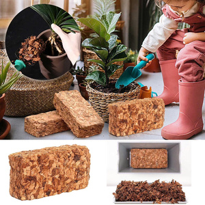 Coco Husk Chips Premium Lavados de Bajo Contenido de CE ECO2GO, Sustrato Natural de Coco para Plantas Monstera, Philodendron, Anthurium y Aroides - Product Image 6