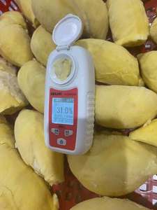 Durian Congelado 100% Natural de Primera Calidad, Origen Vietnam - Product Image 5
