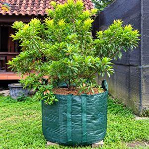 Bolsa de Cultivo de Alta Calidad de 400L, HDPE, Resistente a los Rayos UV, 92x60cm, con 4 Asas Largas - Product Image 6
