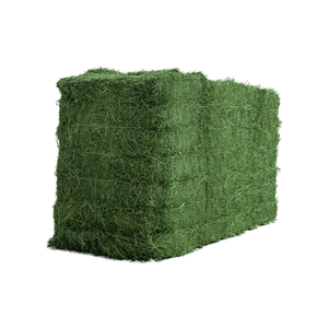 Foin d'alfalfa disponible pour les acheteurs commerciaux recherchant une offre de gros volumes réguliers - Product Image 6