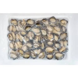 Mejillones cocidos congelados IQF con concha, mariscos para catering y servicios de alimentación - Product Image 2