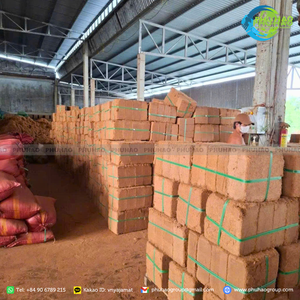 Producto estrella: Bloque de coco de bajo EC para inicio de plántulas, 95 5, para suavizar el suelo y un desarrollo radicular saludable, 100% Vietnam - Product Image 2