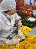 Exportkwaliteit gedroogde mango uit Vietnam, premium gedroogd tropisch fruit, groothandel. Koop 2 ton, krijg 99 kg gratis.