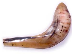Shofar en corne de bélier naturelle fait main, corne courbée pour la cérémonie religieuse juive, instrument de culte traditionnel, corne musicale - Product Image 5