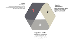 Enneneng <span class=keywords><strong>5kw</strong></span> 72V 3000Rpm Nieuwe Energie Dudu Fiets Aandrijving Ac Asynchrone Remmotor Met Krachtige Prestaties - Product Image 6