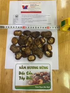 HIGH QUALITY Bulk Dried Shiitake Mushroom Vietnam Origin No Additives 2 Year Shelf Life Optimized Loading 40ft Container - Product Image 3