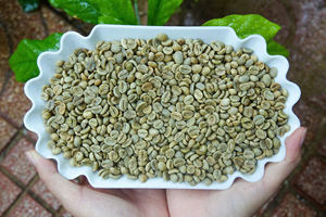 Granos de Café Verde Arábica y Robusta, Café Sin Tostar de Primera Calidad, Orgánico, al por Mayor, 100% Natural, de Alta Calidad para Exportar, OEM/ODM, Vietnam - Product Image 5