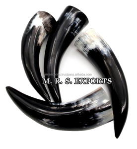 Vente chaude Viking Boire Des Cornes De Bière Ensemble 4 Pièces Ox/Buffalo Corne Finition Décoratif Corne Stand Bas Prix Shell Lampe En Verre - Product Image 4