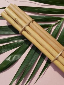 20cm Natural <b>Bamboo</b> Drinking <b>Straws</b> Disposable <b>Straws</b> for Children's Slush Milkshake Iced Beverages Party-Friendly - Product Image 1