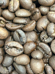 Honey Process Roasted <b>Coffee</b> <b>Beans</b> Unique Sweetness Complex Flavor Profile Premium Speciality <b>Coffee</b> for Export - Product Image 6