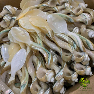 Handmade Mother of Pearl Coffee Spoon Natural <b>Shell</b> Tea Spoon Luxury Dessert Cutlery for Restaurant Hotel Wedding Gift - Product Image 4