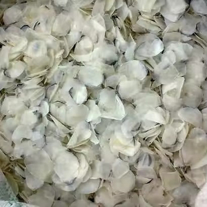 เกล็ดปลาทิลาเปียคุณภาพสูง เกรด A ตากแห้งด้วยแสงแดด สำหรับทำอาหาร - Product Image 2