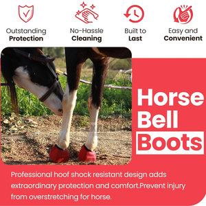 Botas de Cuero para Montar a Caballo de Alta Calidad, Nuevo Diseño, Venta al por Mayor, Ligeras, en Oferta - Product Image 4