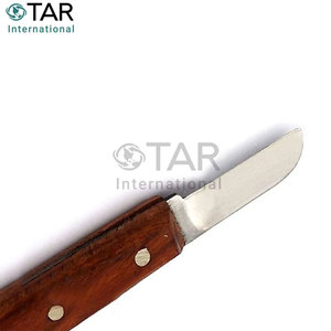 Couteau de laboratoire dentaire 6 pouces 7R en acier inoxydable pour mélange de plâtre et d'alginate, instrument médical de haute qualité pour la précision - Product Image 3