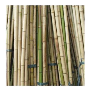 Cerca de bambú material de los postes de bambú sólidos naturales baratos para la construcción-poste de bambú Vietnam - Product Image 2