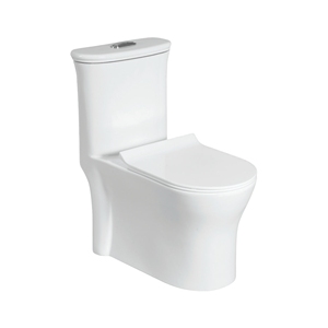 โถสุขภัณฑ์ NOVA One Piece แบบยาว ติดตั้งบนพื้น ระบบ S-Trap แบบกดสองปุ่ม วัสดุเซรามิก ดีไซน์ร่วมสมัย 1.0-1.28 GPF ทำความสะอาดง่าย รับประกัน 5 ปี - Product Image 1