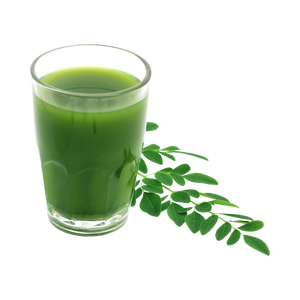 Polvo de Moringa WITHGLU con Bacterias Lácticas que Descomponen el Gluten (Fórmula Patentada) sin gluten, Japón - Product Image 3