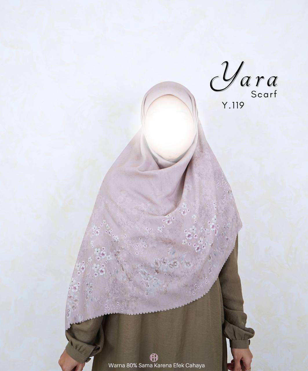 Y.119 (บลัชออน)