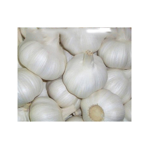 Ail blanc pur biologique de haute qualité 6P, nouvelle récolte, ail frais fermenté, vente en gros, approvisionnement unique en gros - Product Image 4