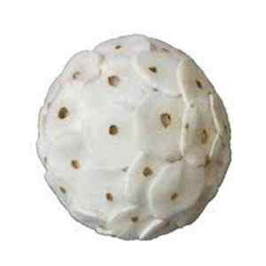 Boule de fleurs séchées Sola Tip de qualité supérieure, populaire pour la décoration DIY de mariages, maisons, événements, bureaux et arrangements floraux - Festival de Mars 2023 - Product Image 1