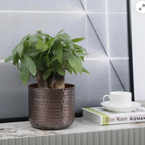 Elegante Macetero Metálico Contemporáneo con Soporte Elevado, Diseño Tradicional, Maceta Dorada para Hogar, Oficina, Balcón, Jardín, con Recubrimiento en Polvo - Product Image 2