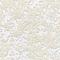 Arroz Jazmín Seco de Grano Extra Largo en Bolsas de 20lb y 50lb, Sin Gluten, Aromático, Excelente Aroma, Precio al por Mayor