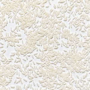 MILAGROSA, la Mejor Opción, Arroz Blanco Jazmín Súper Vietnamita, Seco, Orgánico, de Grano Largo, Aromático, Perfumado, de la Más Alta Calidad - Product Image 3