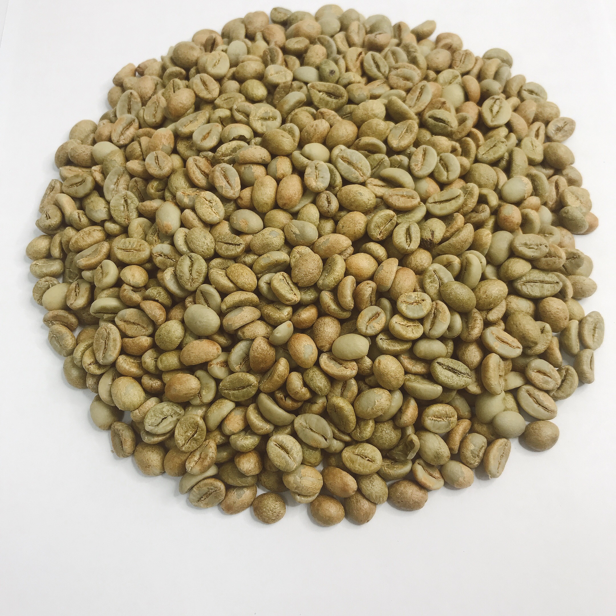 Costa Rica Tarrazu Chicchi Di Caffè Peaberry Scuro Tostato 5 - Foto 7