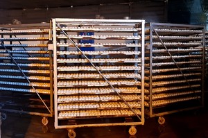 Industrial <b>Egg</b> <b>Incubator</b> Large Capacity From Vietnam Manufacturer Top Sale <b>Incubator</b> 500 <b>Eggs</b> Hatching Machine - Product Image 3