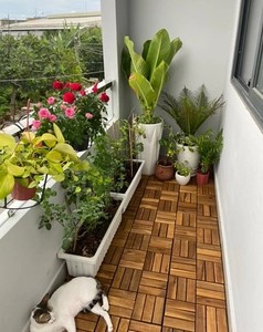 Dalles de terrasse en bois d'acacia de haute qualité, antidérapantes, à clic, faciles à installer, 310*310*24 mm, pour balcon, terrasse, jardin, emboîtables T12A2 - Product Image 6
