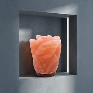 Lámpara de Sal Rosa del Himalaya Premium, Hecha a Mano, con Forma de Flor de Cristal, Luz Nocturna para Interiores de Lujo - Product Image 5