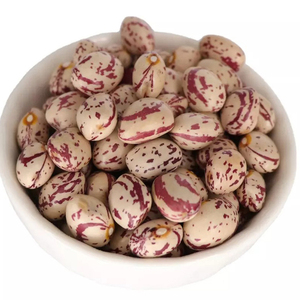 Light Speckled Kidney <b>Beans</b> For Sale Sugar <b>Beans</b> - Product Image 4