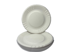 <span class=keywords><strong>Vaisselle</strong></span> jetable en bagasse de canne à sucre Assiettes réutilisables robustes <span class=keywords><strong>écologique</strong></span>s pour les fêtes - Product Image 6