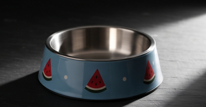 Tazón para Mascotas con Diseño de Sandía, Base Antideslizante, de Metal Azul, para Perros y Gatos, Venta al por Mayor, Moderno - Product Image 2