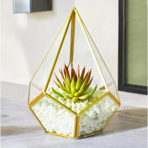 Large Size Diamond Shape Terrarium Tempered Glass with Gold Color Metal Frame for Plants Home Decoration Items Crystal <b>Vase</b> - Product Image 6