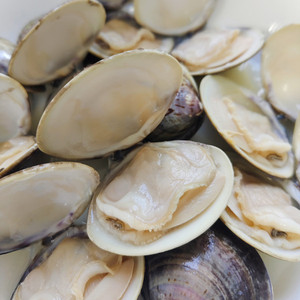 Carne de almeja blanca congelada lista para usar, ingrediente para procesamiento de alimentos y catering - Product Image 1