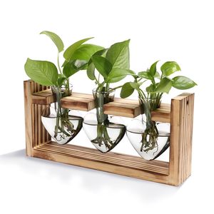 3 Jarrones de Vidrio en Forma de Corazón, Estación de Propagación de Escritorio, Soporte de Madera, Macetas Hidropónicas para Plantas Aéreas - Product Image 2