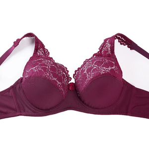 Women's Sexy New Hot Gorgeous Embroidery Floral Lace Brassiere Front Closure Wire-Free Plunge Lingerie with Cup Logo Women <b>Bras</b> - Product Image 3