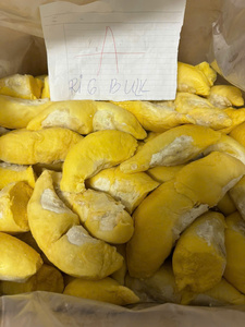 Pulpa de Durian Tropical Congelada de Vietnam para Empaque a Granel, Sellada al Vacío, Ingredientes para Postres de Catering, IQF, Conservación por Agua - Product Image 5