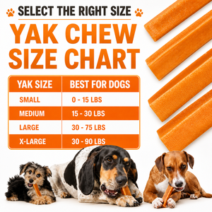 Masticables Orgánicos de Yak del Himalaya para Perros, Hechos a Mano, Naturales, Secos, con Alto Contenido de Proteínas, Sin Granos, Snacks Saludables para las Articulaciones y el Cuidado Dental, Tamaño Personalizado - Product Image 6
