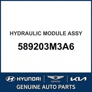 Equus Nouvelles unités hydrauliques ABS et de stabilisation 589203M3A6 - Product Image 1