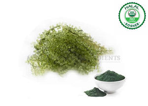 Extrait de spiruline en poudre de qualité supérieure, superaliment naturel à base de plantes pour soutenir l'énergie, stimuler la nutrition et favoriser le bien-être quotidien - Product Image 2