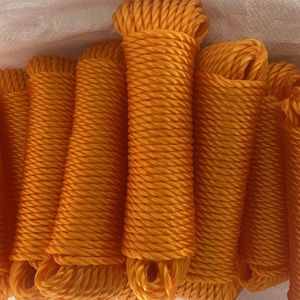 Custom Size Polyethylene <b>Rope</b> Strong Flexible PE <b>Rope</b> Designed for Marine Industry Construction Work Agriculture Packaging - Product Image 4