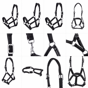 Harnais en cuir personnalisé pour cheval - Modèle Divine International DI'LH'033 - Équipement équestre en provenance de l'Uttar Pradesh - Product Image 4