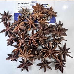 Anís estrellado entero seco, grado alimenticio, aroma natural, suministro al por mayor B2B para fábricas de condimentos, importador de té de hierbas/ ANNA DO - Product Image 3