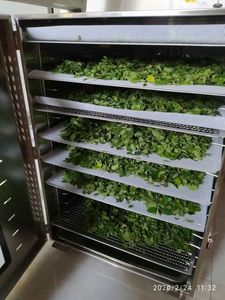 Poudre de feuilles de Moringa de haute qualité - Fournisseur de superaliments biologiques - Best-seller 2026 - Product Image 2