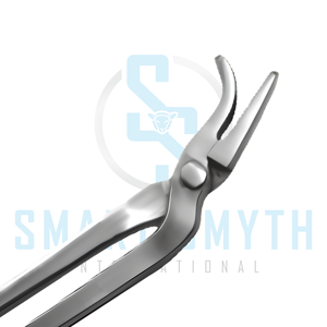 Outil professionnel de pose de clous de fer à cheval pour fermeur, instrument robuste pour l'entretien des sabots équins et la ferrage. - Product Image 5