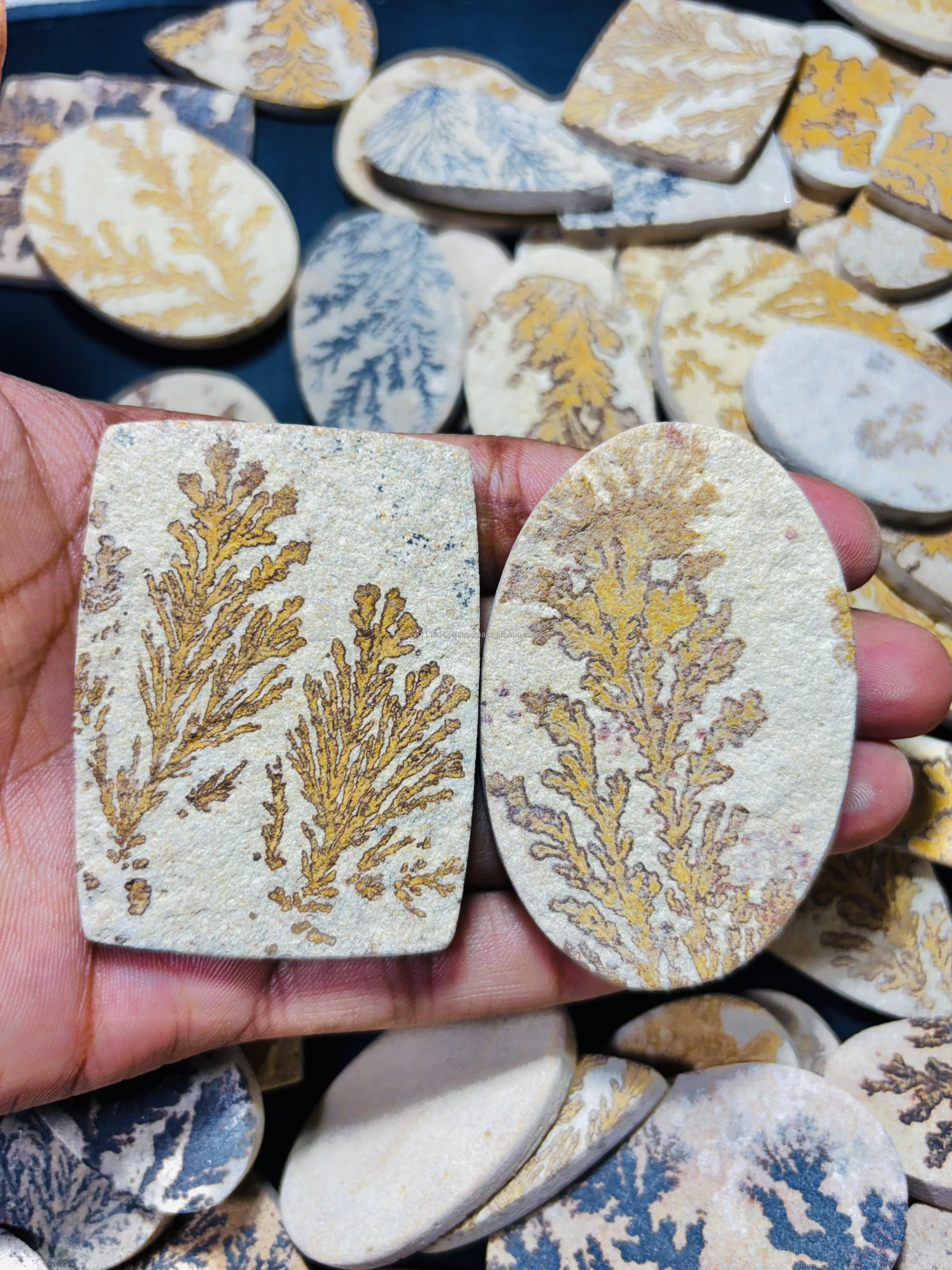 เหมือนกับภาพ