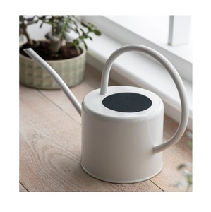 Luxury Unique Design for Watering <b>Garden</b> and Plant Ware Iron Metal Water Can Home Hotel Restaurant <b>Garden</b> Used Water Can - Product Image 3