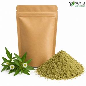Fabricante de Extracto Herbal de Alta Pureza, Polvo de Eclipta Alba, Ingrediente Botánico Natural para el Cuidado del Cabello y Formulaciones de Bienestar - Product Image 2